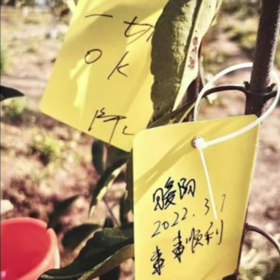 2026KPL夏季赛看见阿豆又要和暖阳重逢就心软软了，那年发不起工资，暖阳的每碗