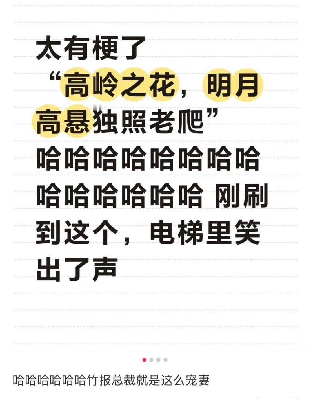 打开小红书笑抽了