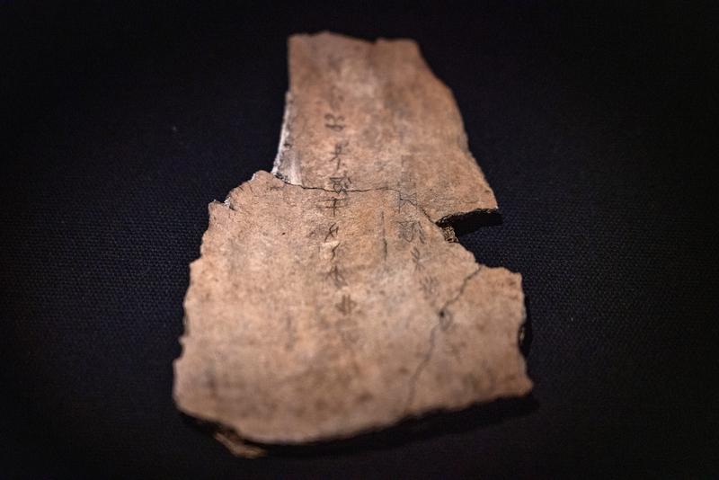 甲骨文宛如汉字家族的“老祖宗”，作为中国已知最早的成熟文字系统，它承载着中华文明