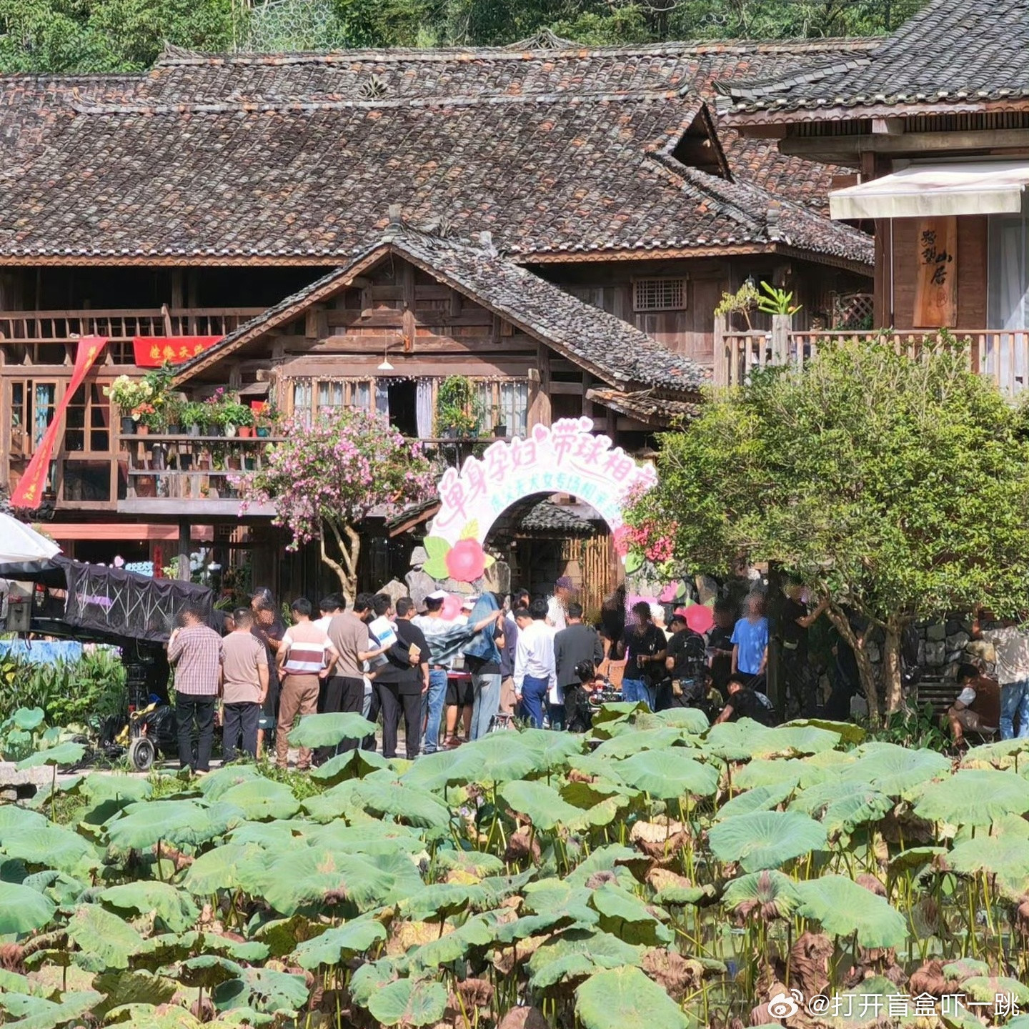 最近各大社交平台疯传这张“单身孕妇带球相亲——虎父无犬女专场相亲会”现场照片，广