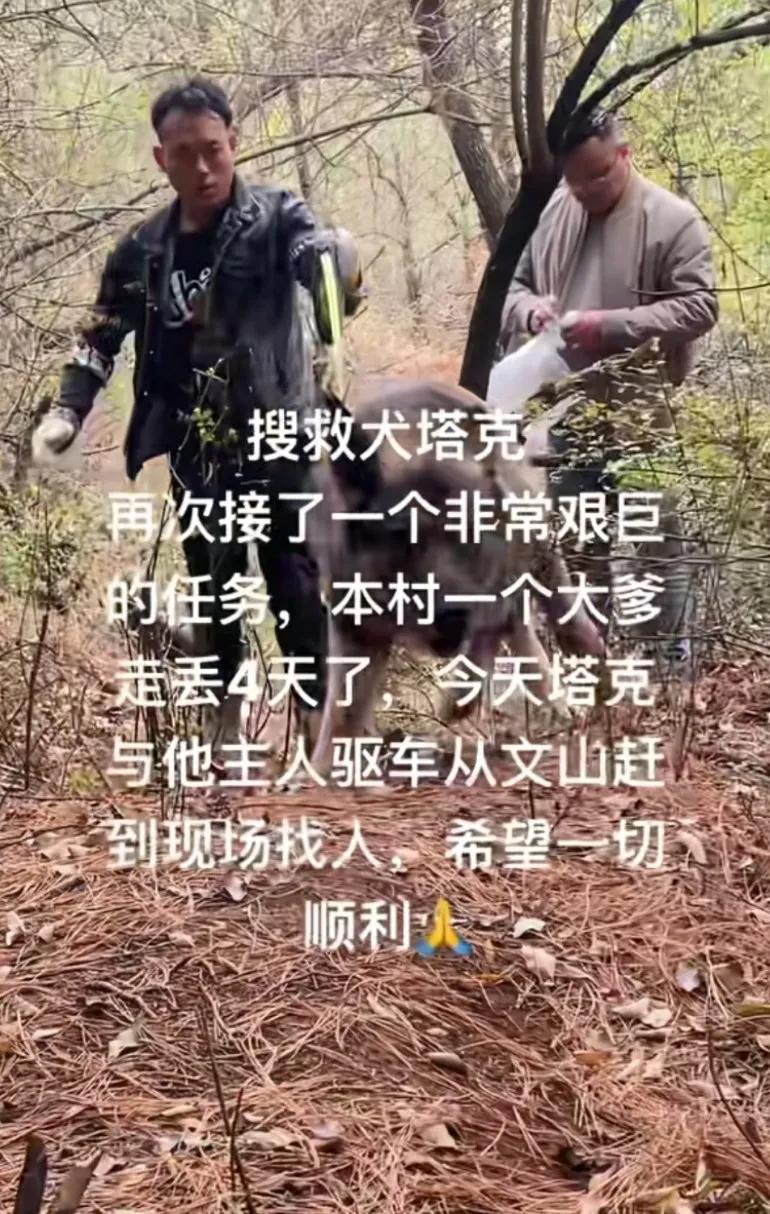 听说塔克还没去救蒲田那个小男孩，是要付Q的，还在商议中，搜救犬塔克再次接了一个艰