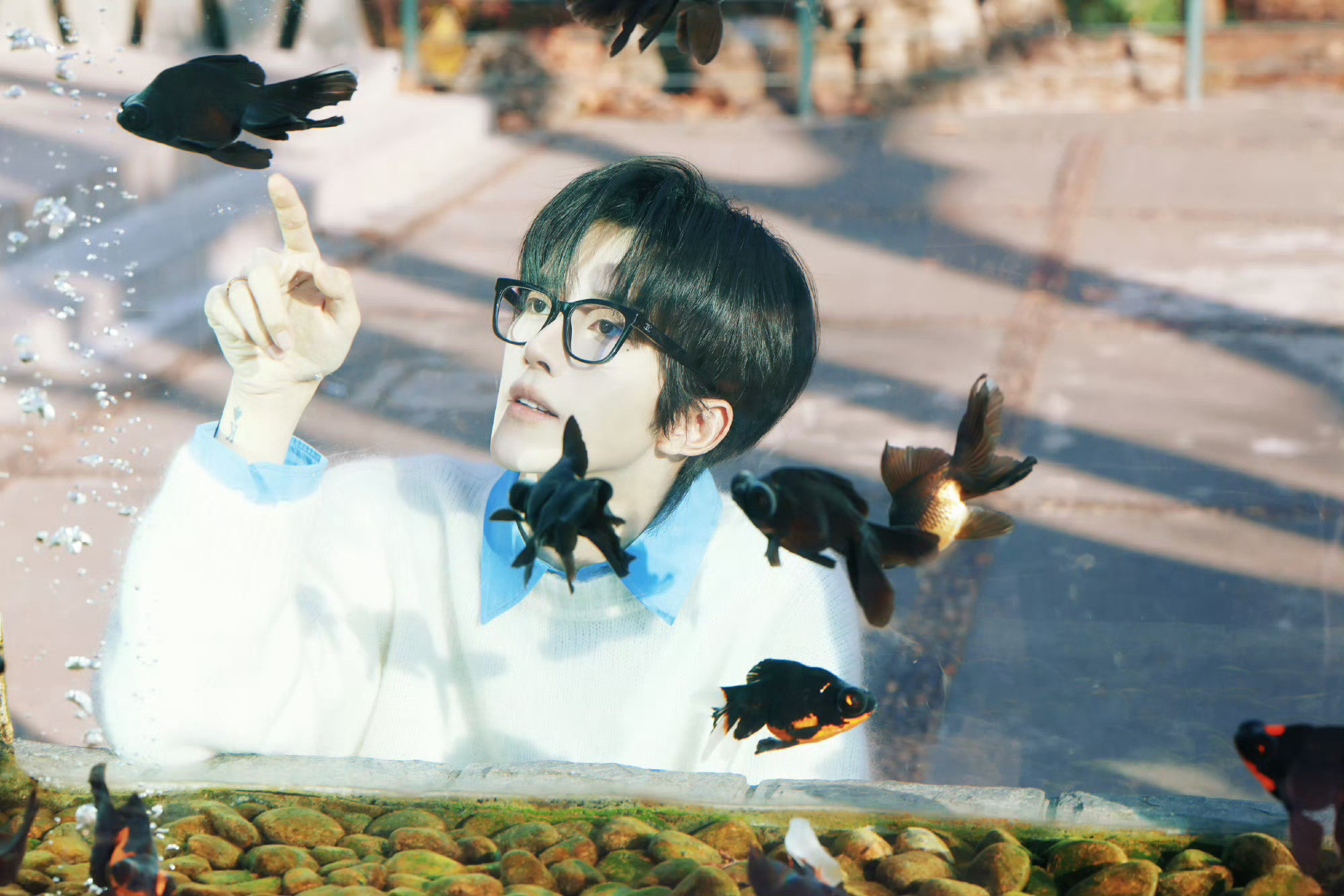 好好好知道某某和某某某在动物园玩的很开心了！你俩晒图这小心思也是偷偷藏不住了