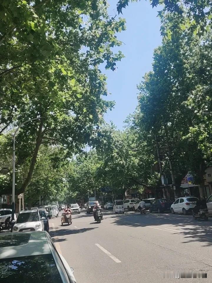 中午的风伴着大辣辣的太阳，把法国梧桐树的桐毛吹的到处都是。汽车过后，卷起的不是