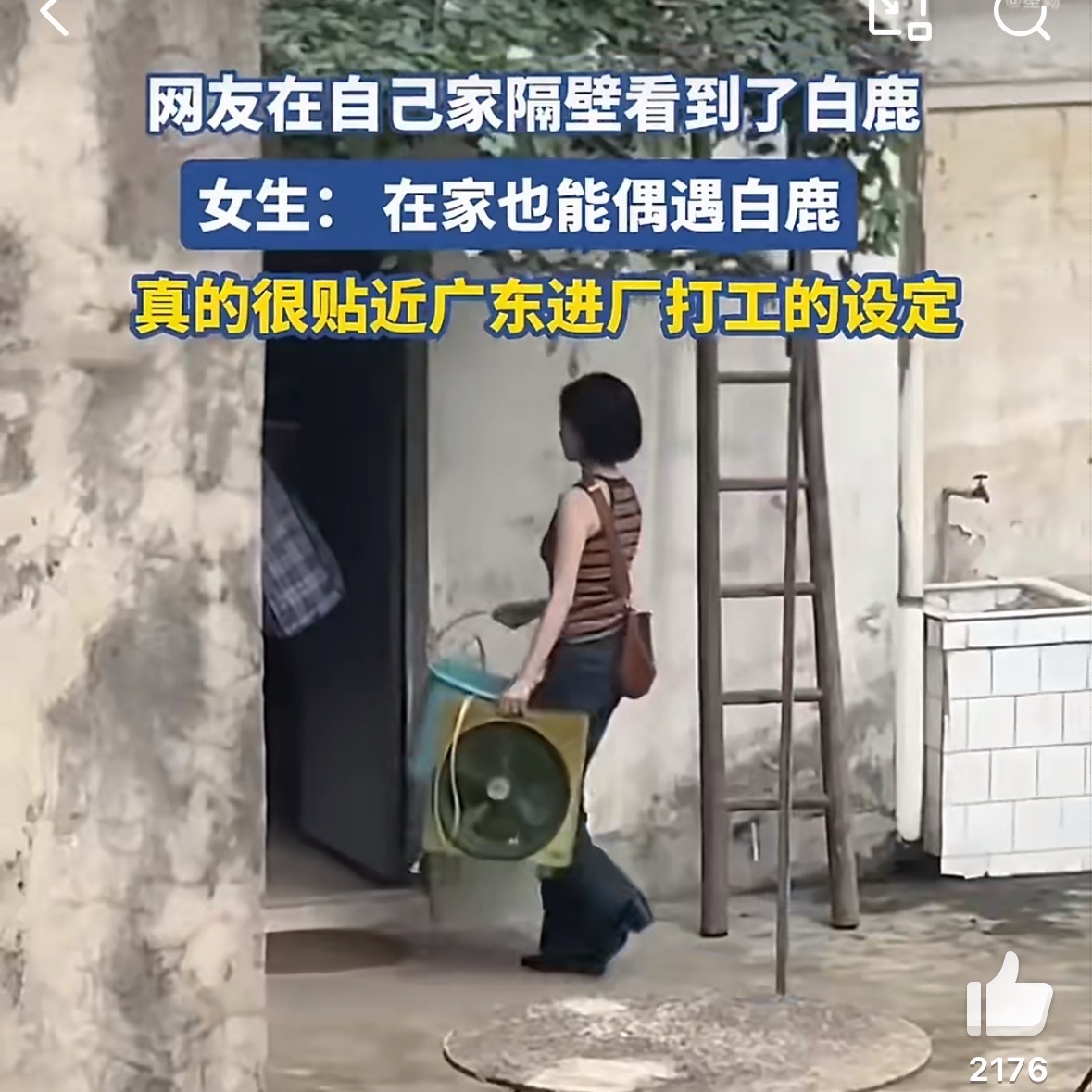 网友在家偶遇白鹿白鹿短发那个路透你们看到没？跟她之前古装温婉那挂差别也太大了吧。