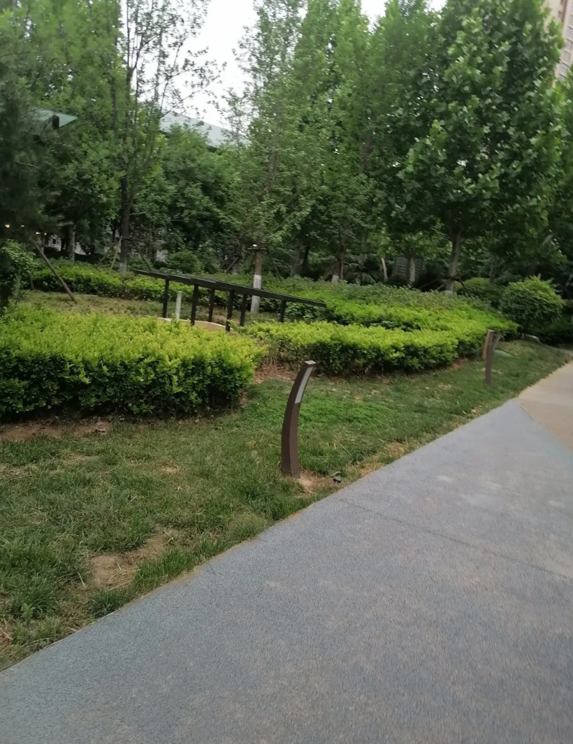北京邮电大学，不愧是头部211，在招生方面太为学生考虑了，今年实行保专业不调剂，