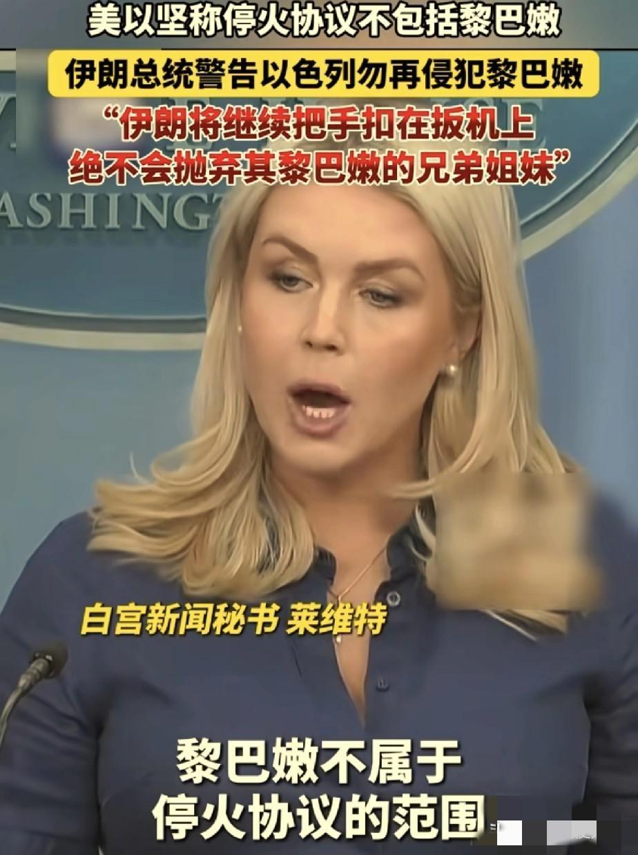 史诗级外交背刺大戏上演！巴基斯坦总理谢里夫满腔热血当起国际和事佬，高调宣布停