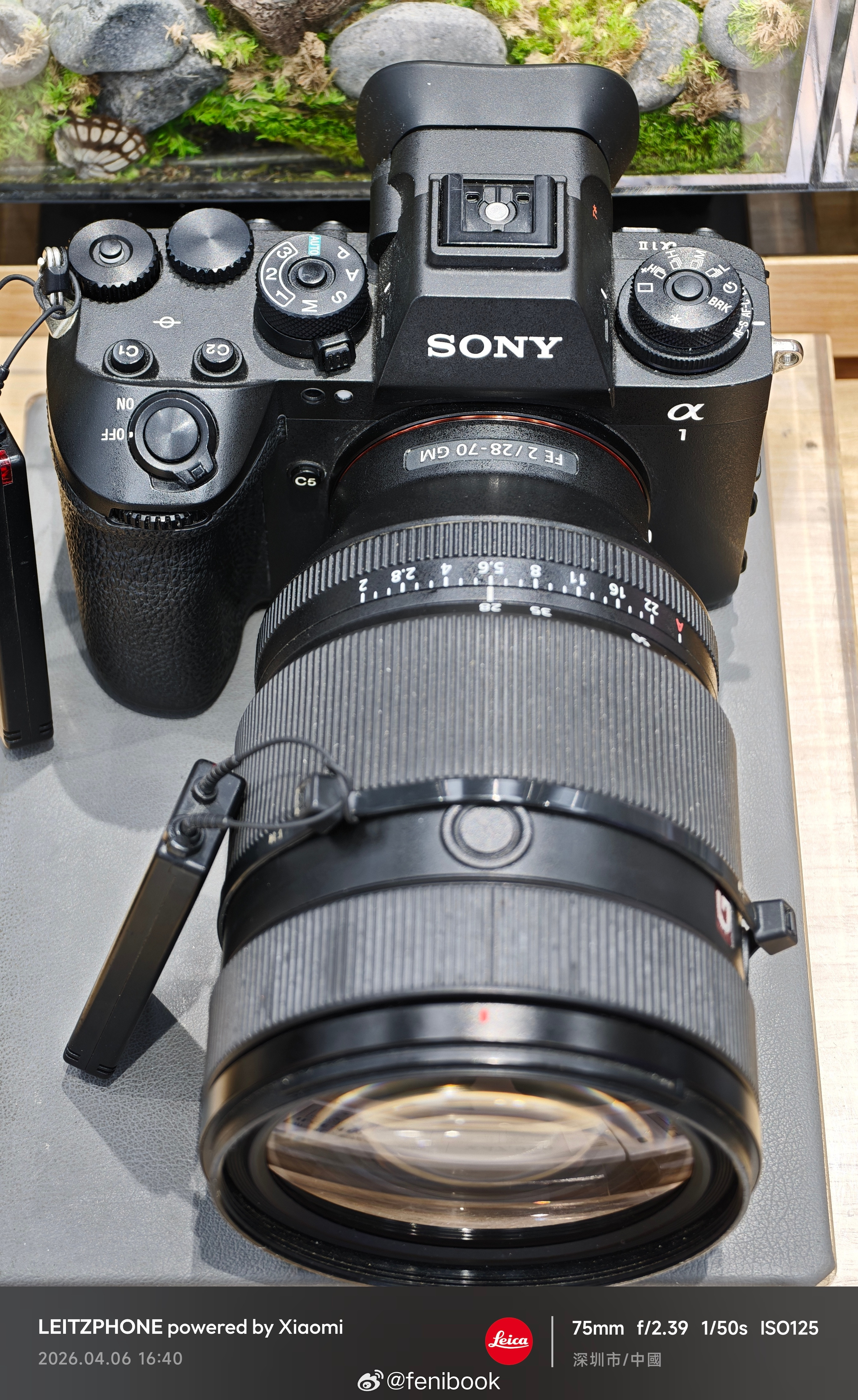 特地来看了索尼Alpha1II，该怎么说呢，照片画质确实不如R5，尤其拍人，