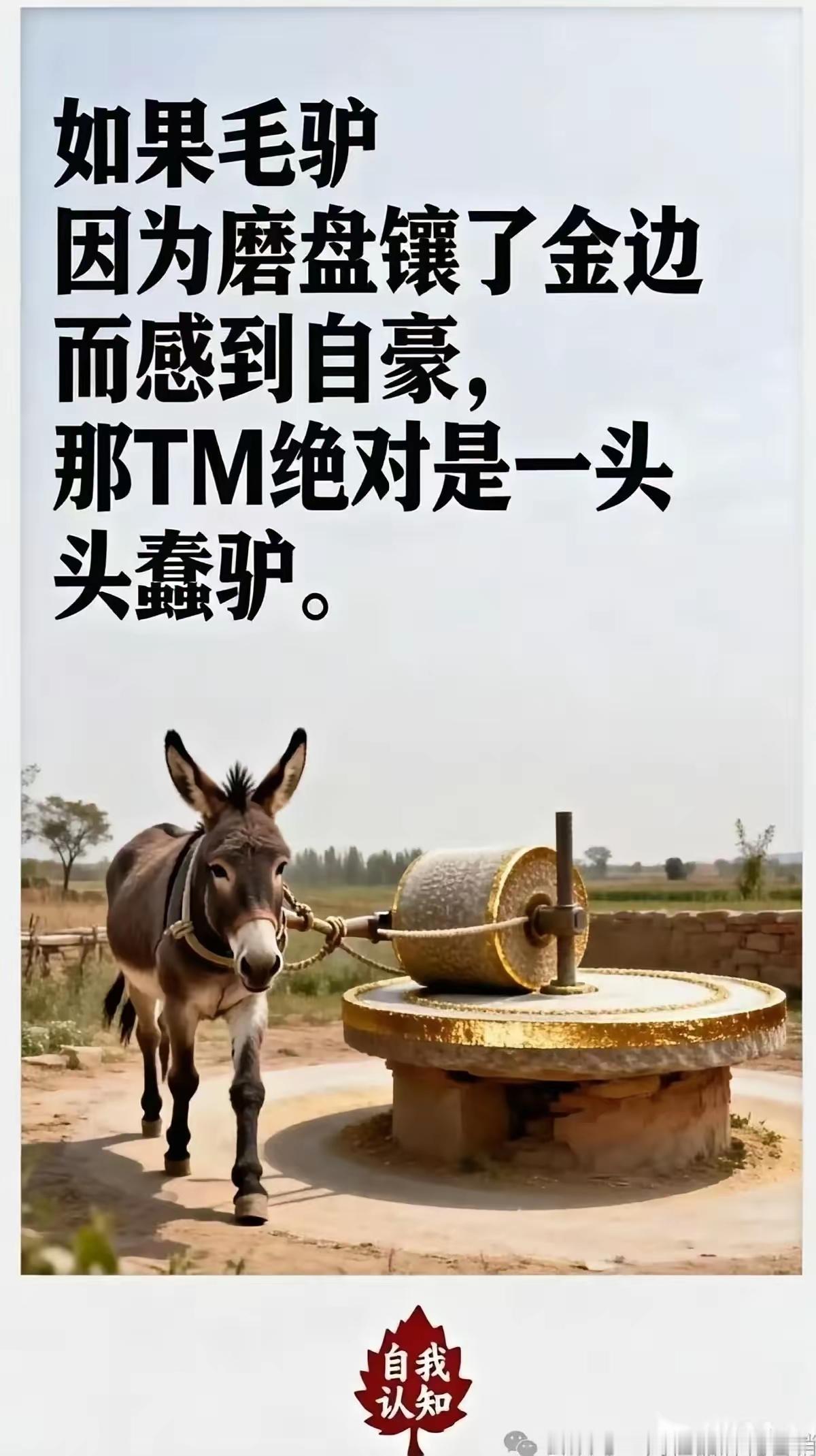 说的没毛病[捂脸哭][捂脸哭][捂脸哭]