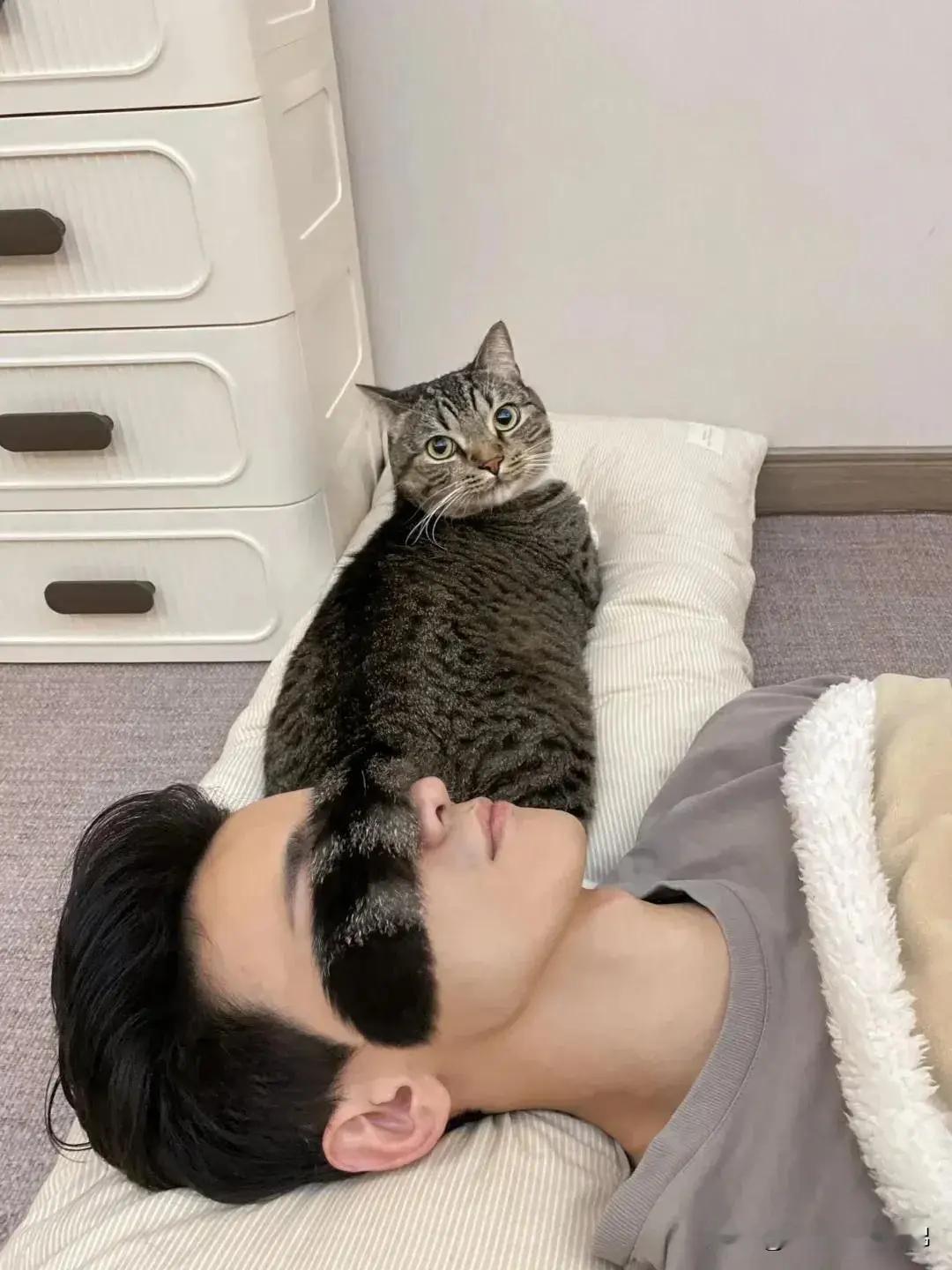 猫尾眼罩保证你睡眠😴质量和安全。​​​