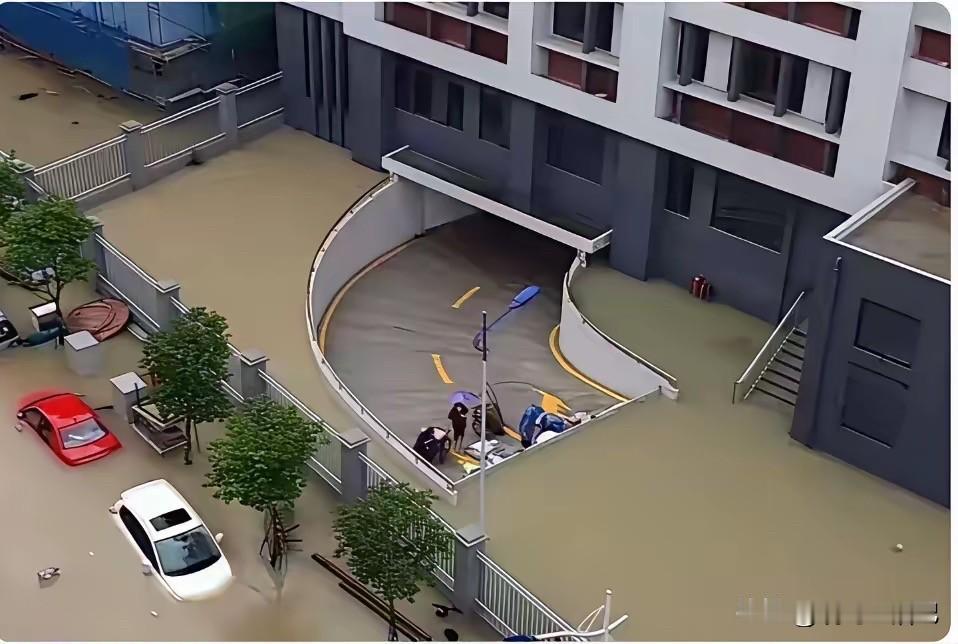 看看人家这小区，业主做梦都能笑醒[赞]