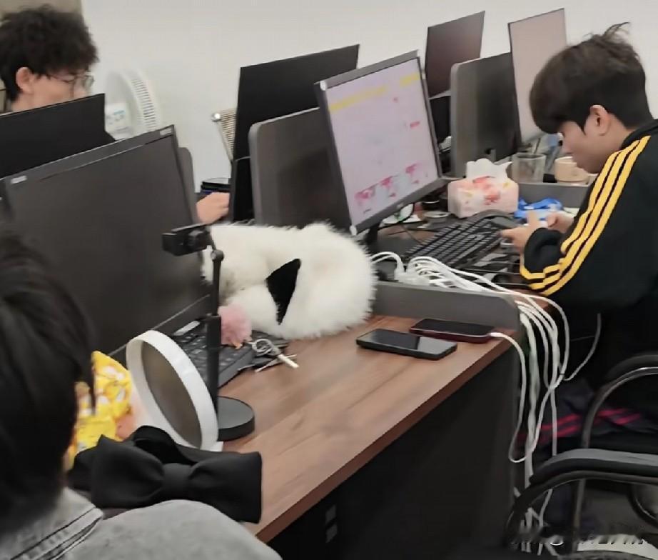 作为一个hr，以我上仲裁庭就超过20长的悲催经历来说，真心觉得其实咱大多数劳动者