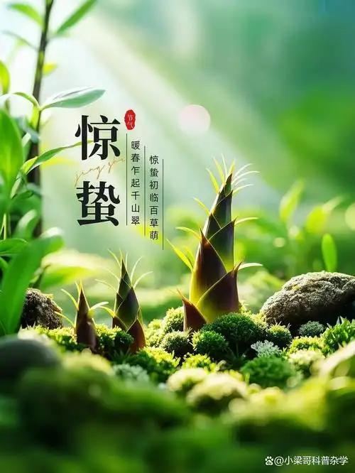 今日惊蛰，山东地区传统习俗惊蛰到，山东民间以驱虫、祈福、养生、春耕为核心