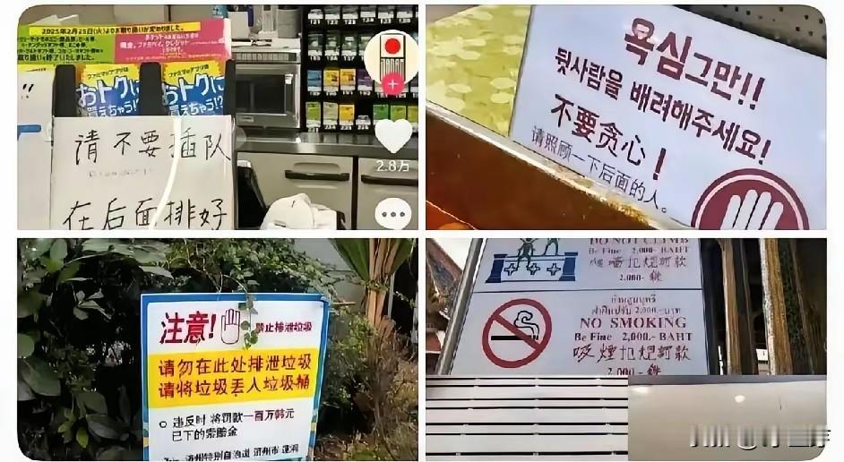 老外被“逼疯”了！为了中国游客，他们苦练中文到几级？自从祖国强大后，中文就成