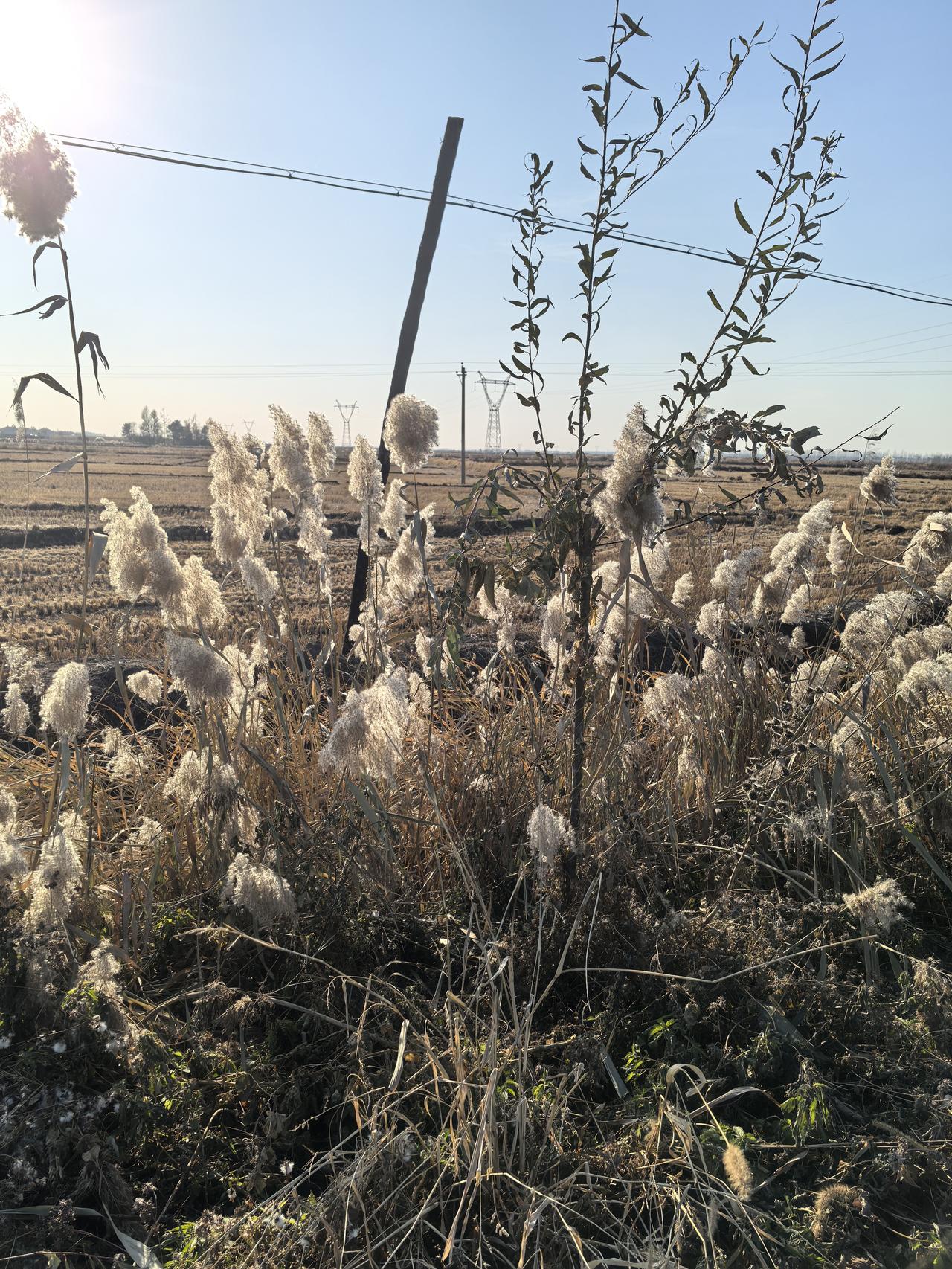 一个建国前的老头,患上前列腺癌,90多岁了每年都会办理特药。靶向药价格昂贵,一