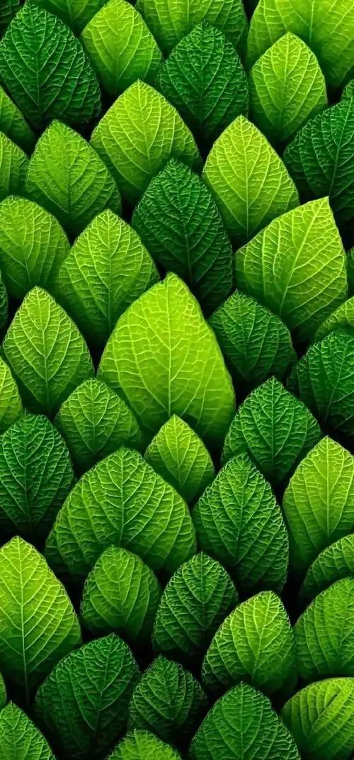 胃，不喜欢什么？1、冰冷的（比如冰啤，冰水等）2、辣的（比如辣椒等）3、