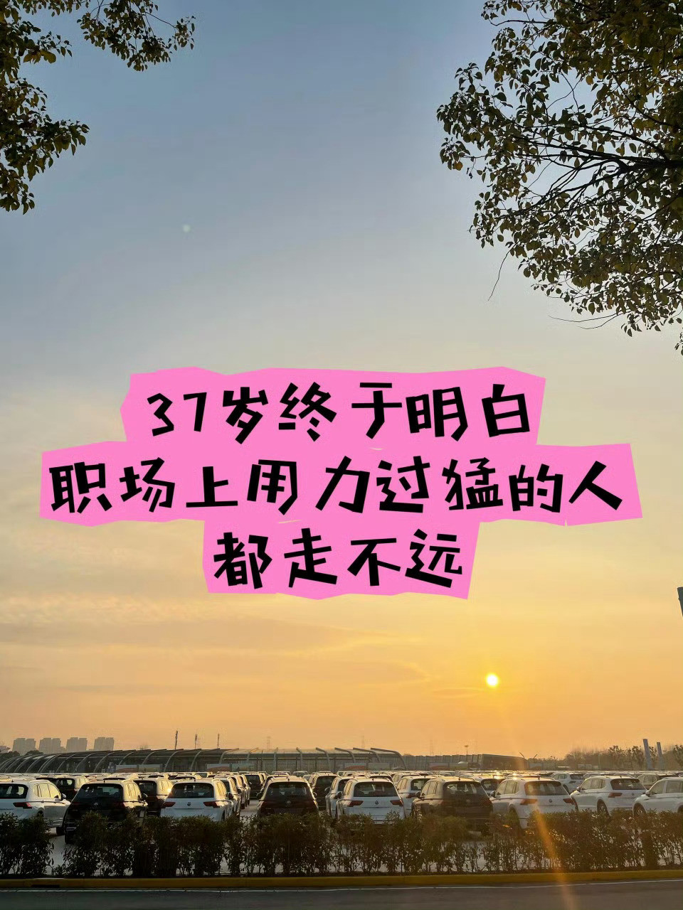 〖37岁才明白的职场真相〗职场11年，“卷”了11年，才让我真正明白的职场道理…