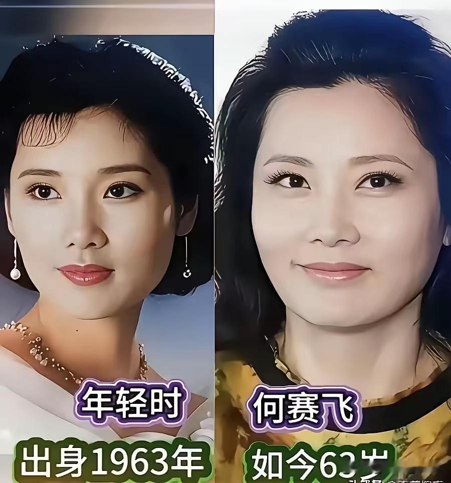 年轻时候的何赛飞确实是比陈红漂亮呀，觉得他的长相更大气，一点也更美艳，一点更有张