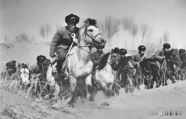 雪夜奇袭，一战封神：东北抗联的“冬日盛宴”，藏着最硬核的抗日底气1940年，