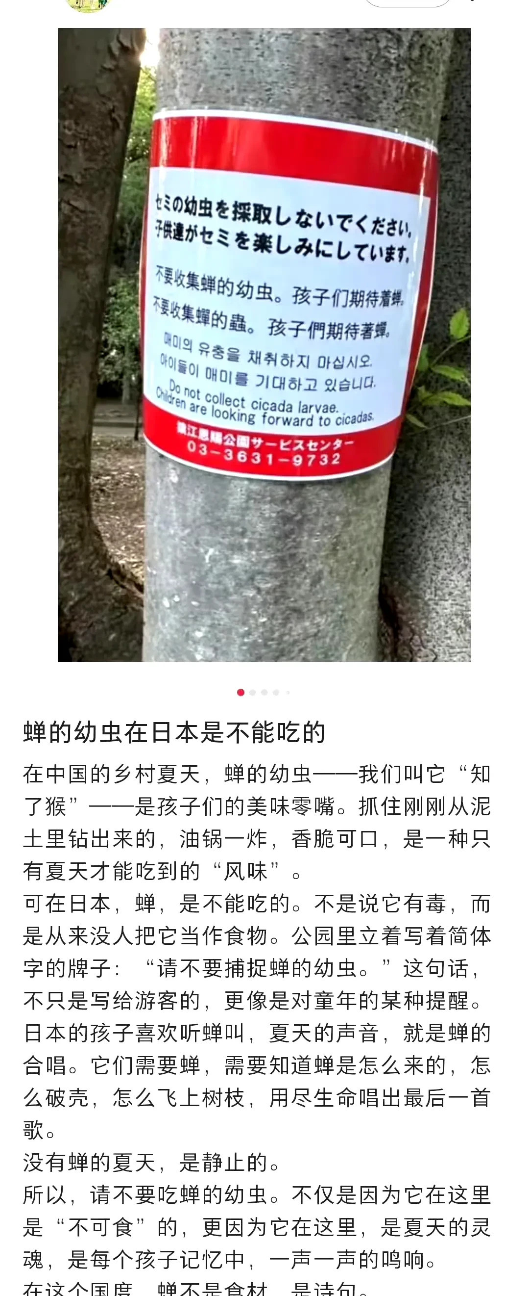 日本夏天不吃知了猴真奇怪日本人夏天不吃知了猴，这事被一些