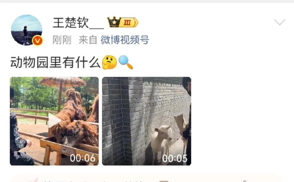 王楚钦[微笑][微笑][微笑]我不仅知道动物园里什么动物都有我还知道你发的