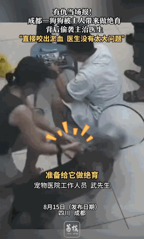 “有仇当场就报了！”据媒体8月15日的报道，近日，四川成都，一女子带着狗狗去医院