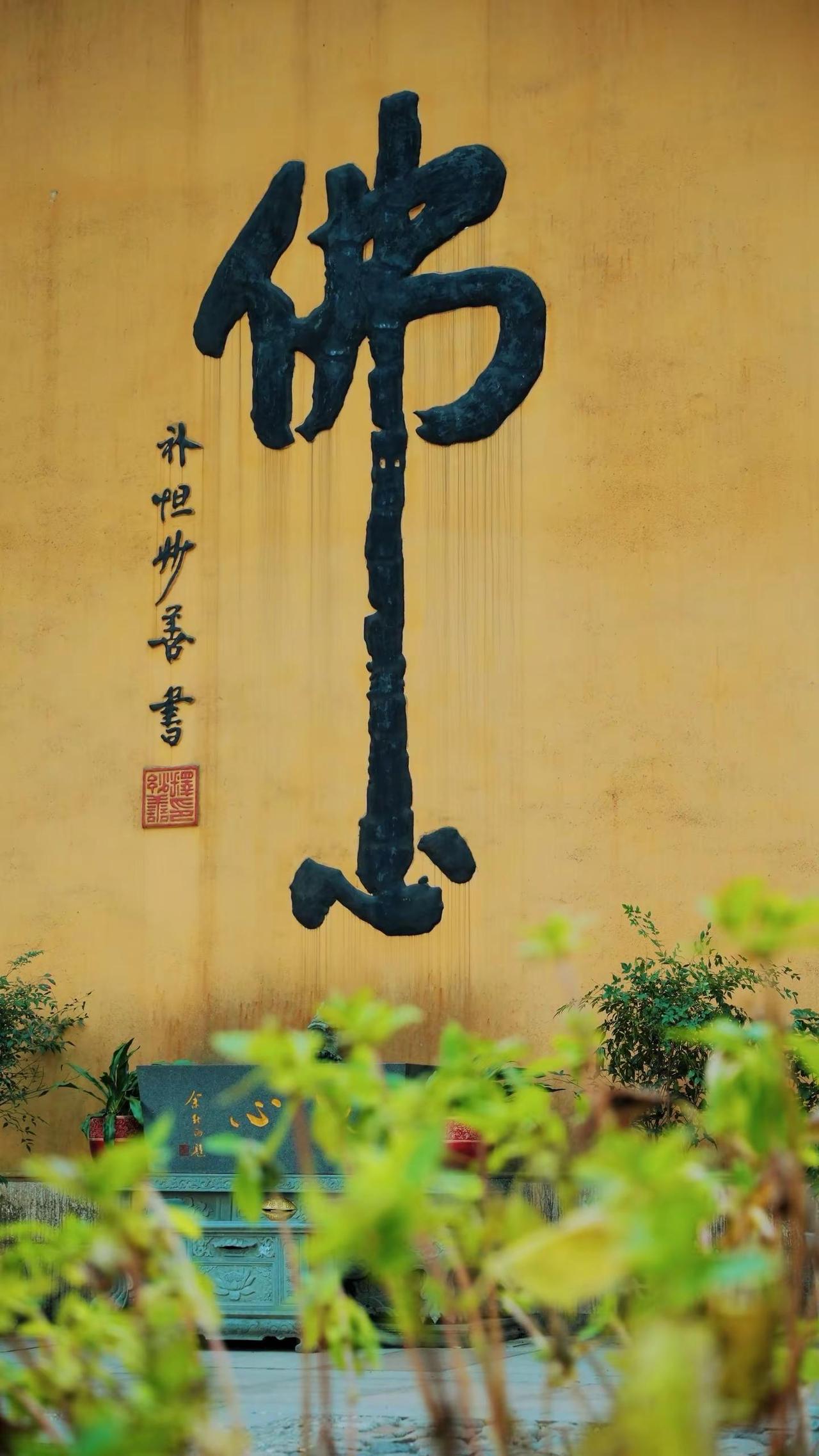 香火绕山海，所求入心来普陀山普陀山祈福中国古建筑