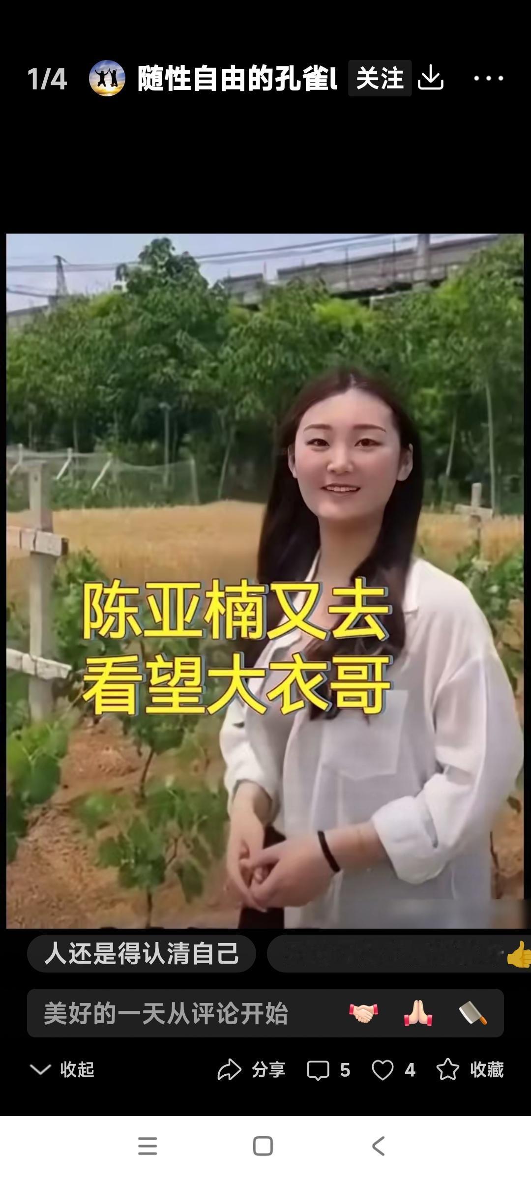 陈亚楠现在有点儿走投无路，没有招了。还得求她前公公朱之文来帮忙。不是让朱
