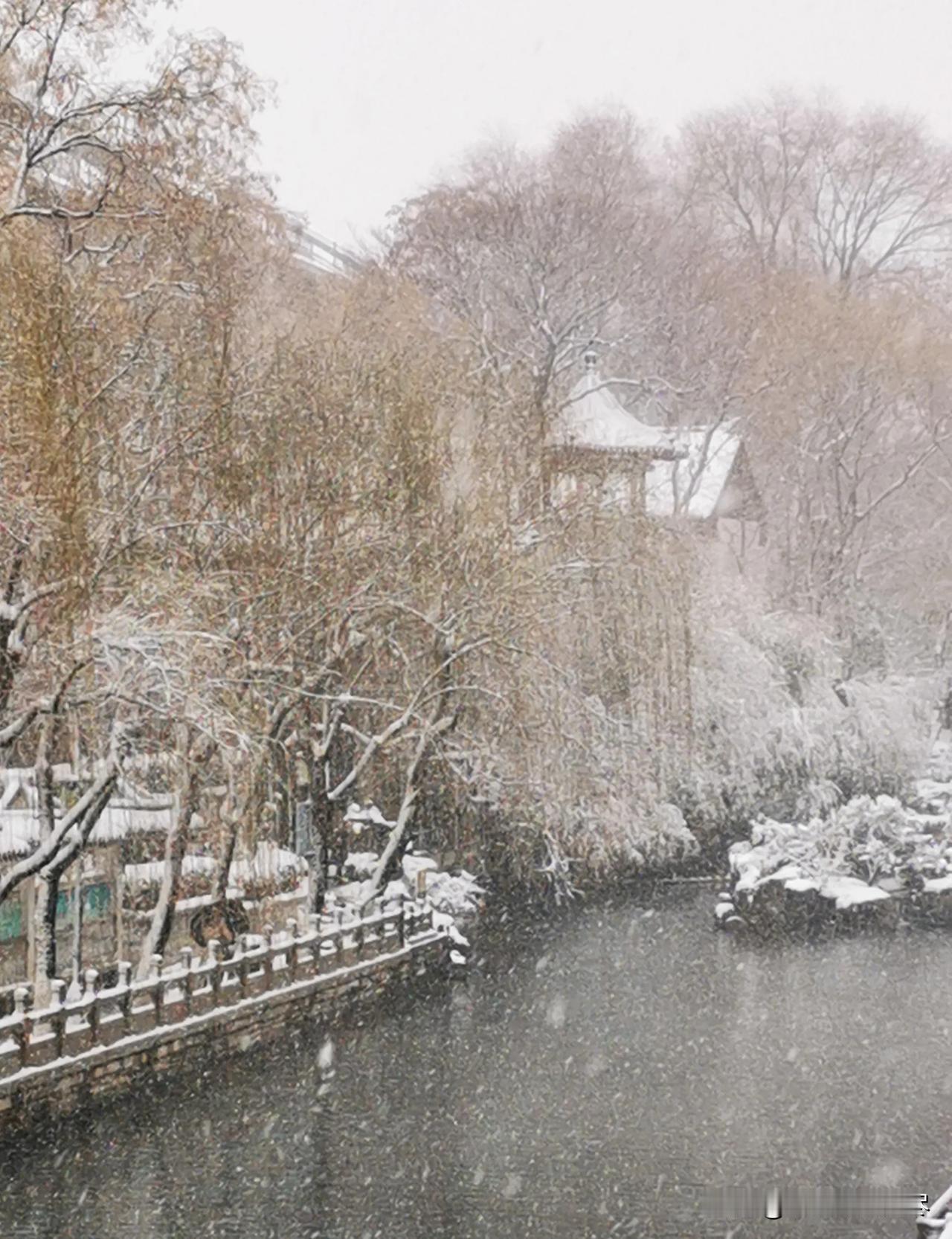 2025年3月2日，济南下了难得一见的暴雪。