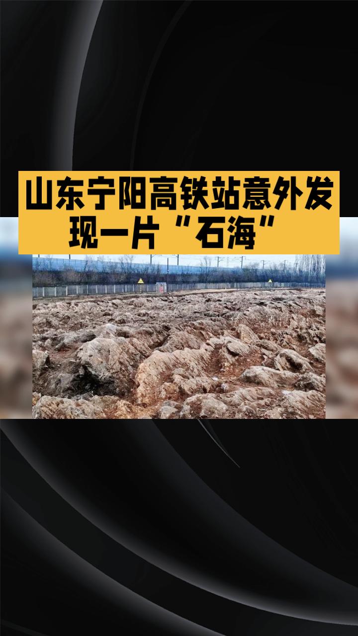 山东宁阳高铁站施工时意外发现一片“石海”，竟藏着5亿年前的秘密！近日，在山东宁