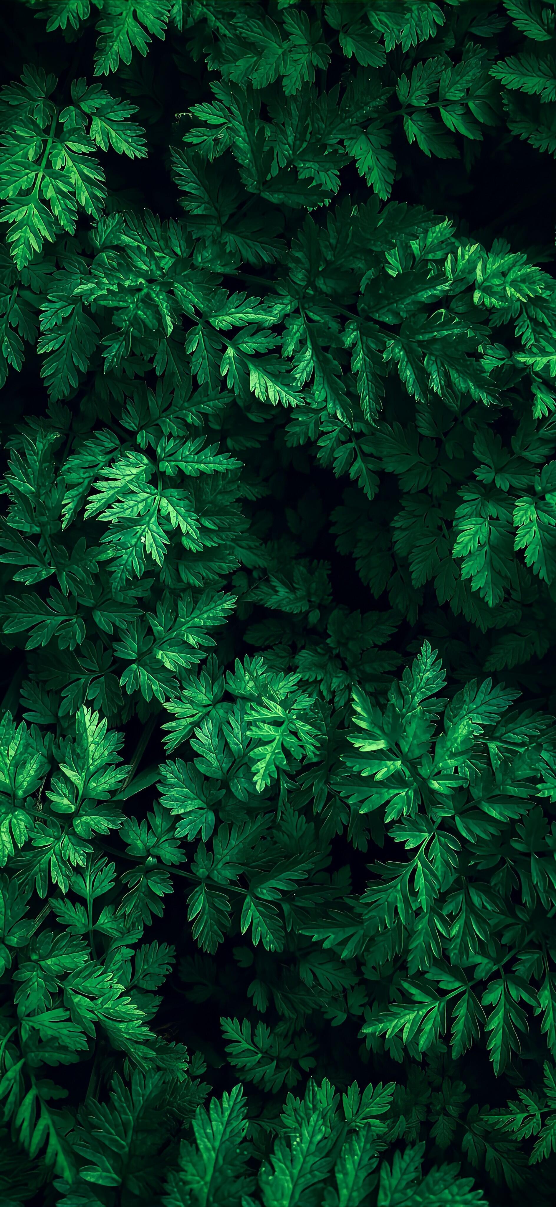 巨好看的锁屏全屏壁纸～