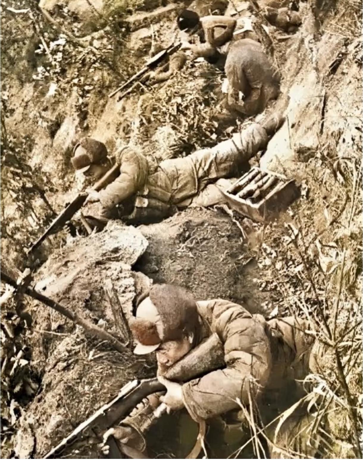 抗美援朝时蒋介石为何没反攻大陆？抗美援朝期间，蒋介石并非不想反攻大陆，而是