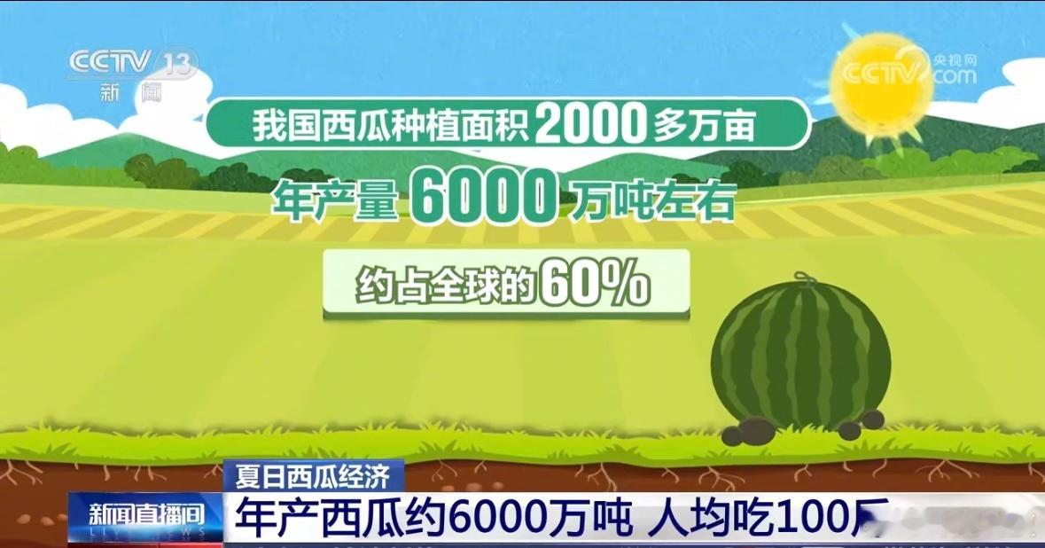 我国每年人均吃近100斤西瓜[吃瓜]​​​