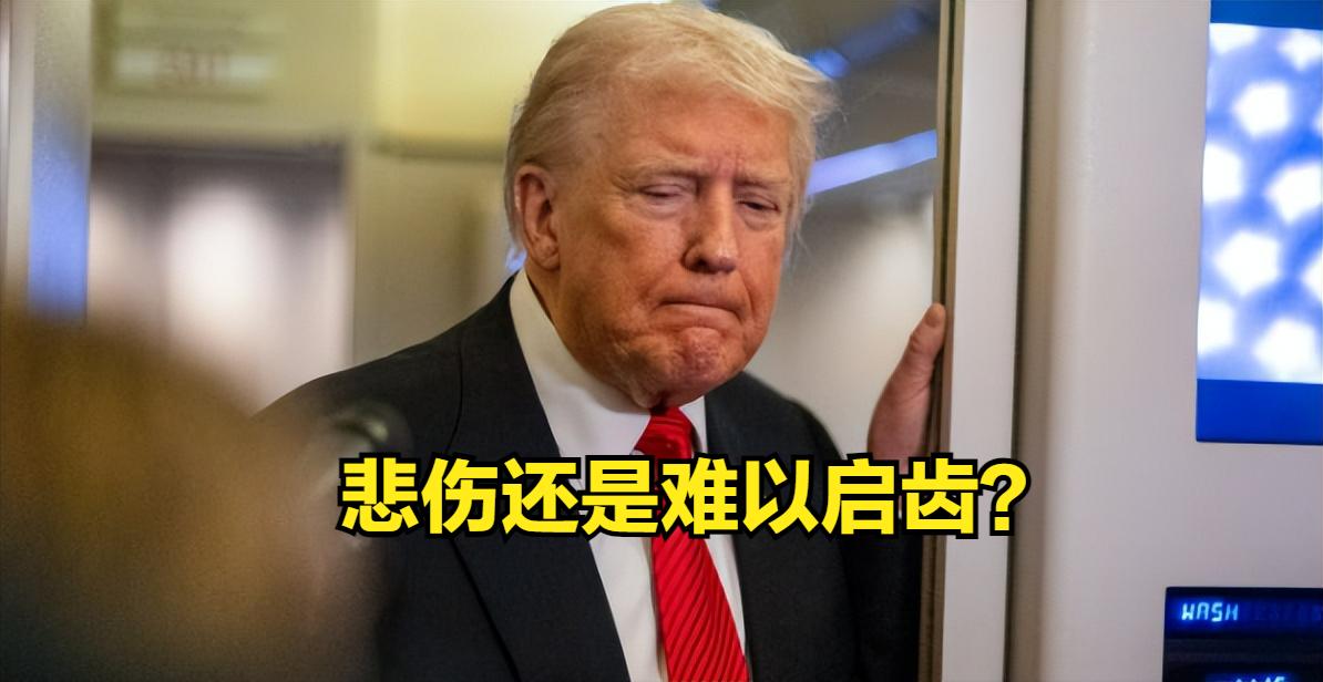 安德鲁流亡，特朗普感伤！？上周，白金汉宫宣布，安德鲁将失去头衔并被赶出英国王室