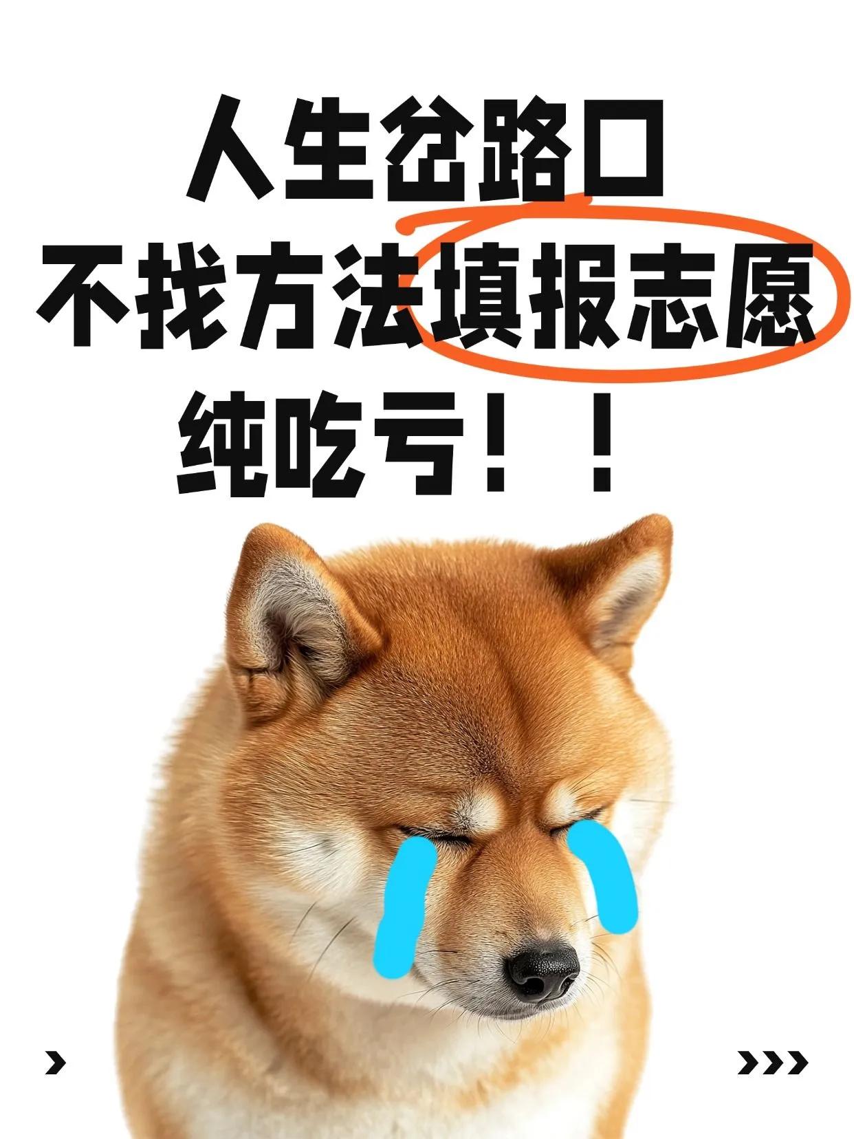 不是！你们高考报志愿都不走捷径的？填错志愿毁四年，现在还有很多家长跟十年前一