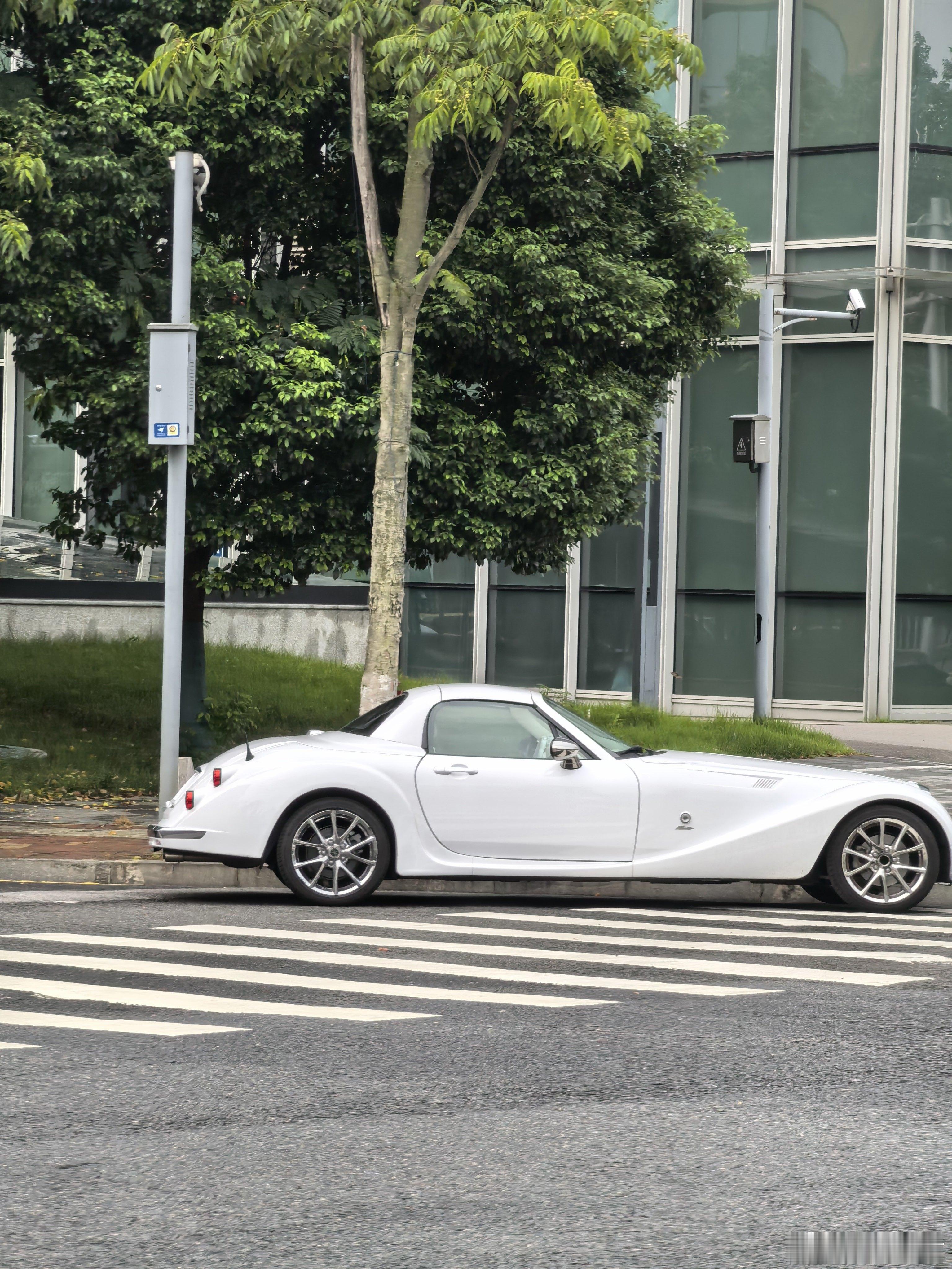 有眼睛亮的兄弟，能认出它吗？