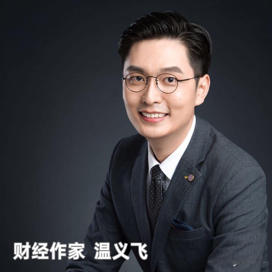 年财政收入161亿，敢拿出90亿赌一个年亏10亿的企业——合肥疯了？2008
