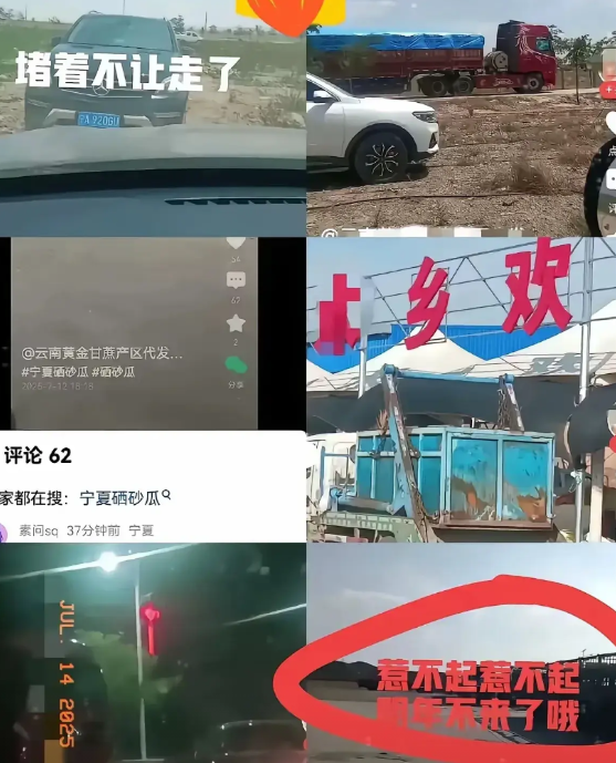 这瓜的闹剧看着让人发飙！宁夏的瓜农和瓜商又干起来了，生瓜收购季节，瓜农种的西瓜