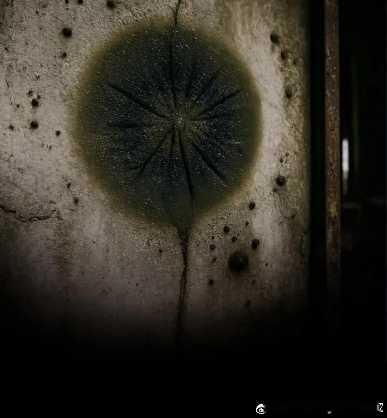 科学家们发现，在切尔诺贝利核反应堆的放射性残骸上生长着一种黑色真菌，这种真菌似乎