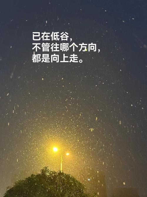 别在低谷里躺着哭低谷怎么了？有山谷，才有高峰有阴影，正说明你头顶有光你