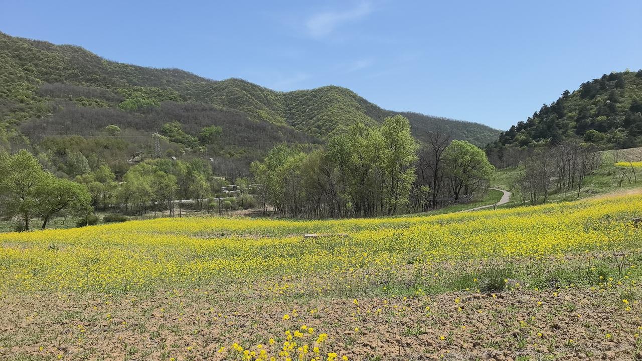 这个地方真值得一游。陕西铜川照金丹霞地貌风景区——溪山胜境风景区，北宋著名画家范