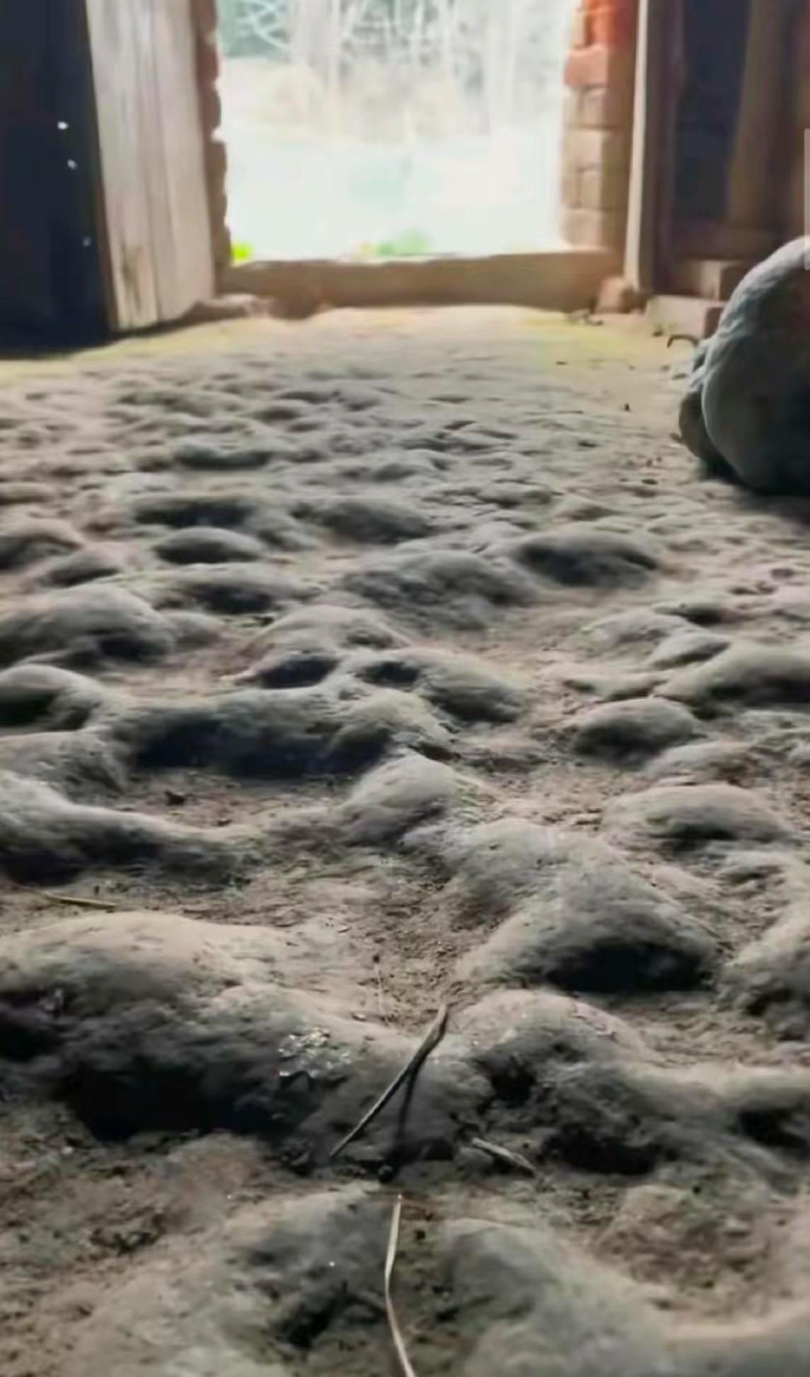 现在还有这样室内土地的房子吗