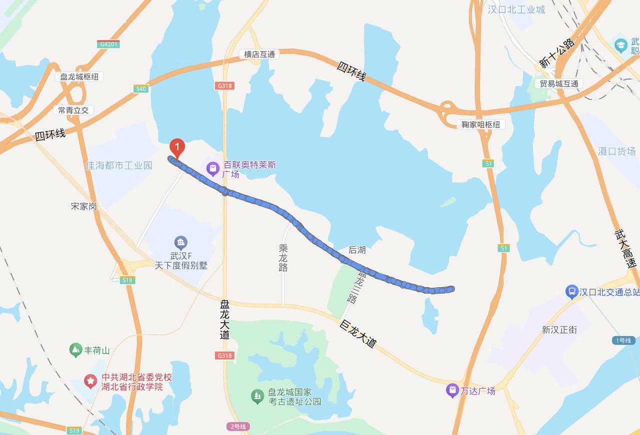 武汉市黄陂区盘龙城经济开发区，3年前完成了一条主干道的拓宽，双向4车道拓宽为6车