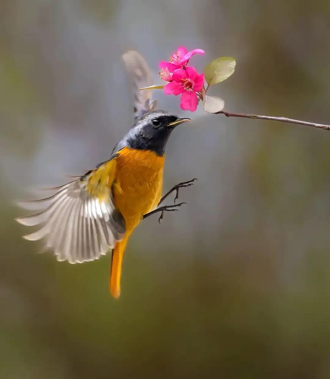 冯唐这段话说得很中肯：“所有爱买衣服，喜欢买衣服的女人，她都不会丑的。所有喜欢买