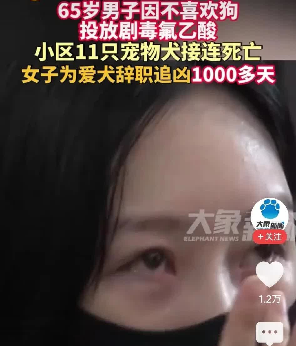 这则消息，爱狗人士和恨狗人士都应该瑟瑟发抖了。近日有报道称：北京朝阳区一