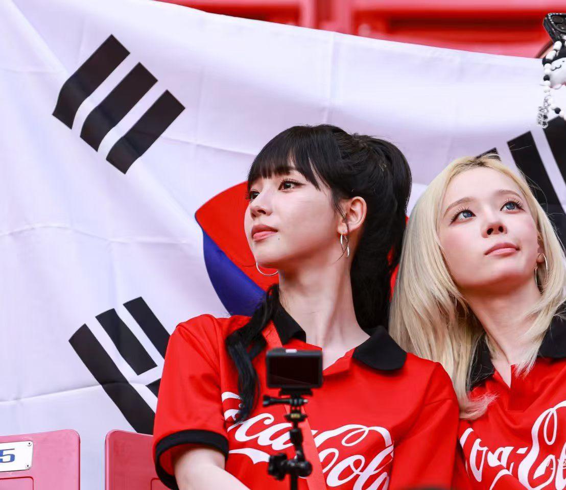 韩国这次多了几个仇人？仇人一：南非小组赛输给南非，韩国全面被动。仇人二：德