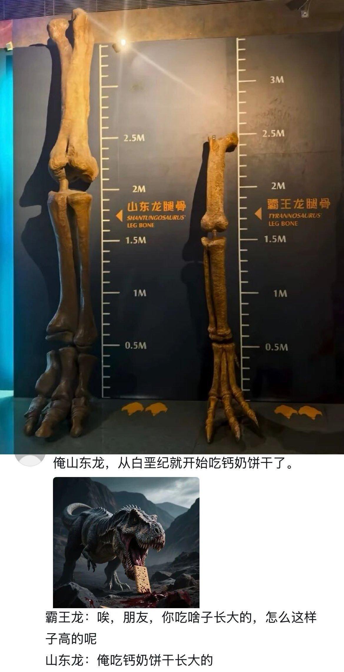 南北身高差异​​​