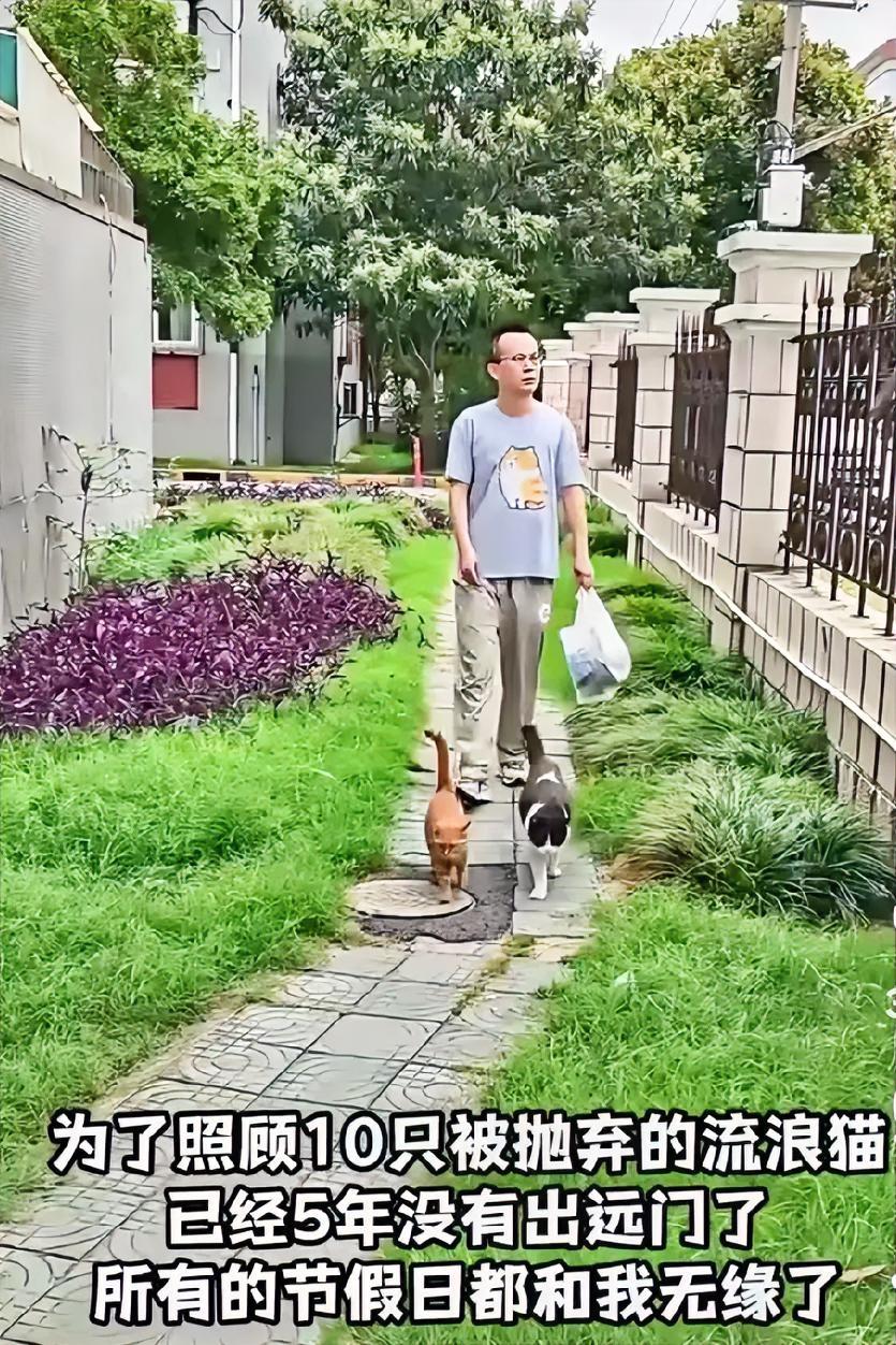 有这样一位爱心人士，为了照顾10只被遗弃的流浪猫，整整5年没去远游，所有节假日都