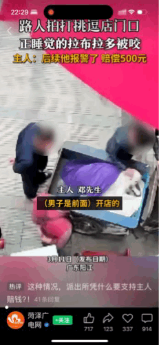 “冤不冤？”广东阳江，一男子闲来无事跑到一家店门口，看到门口的三轮车睡着一条狗，