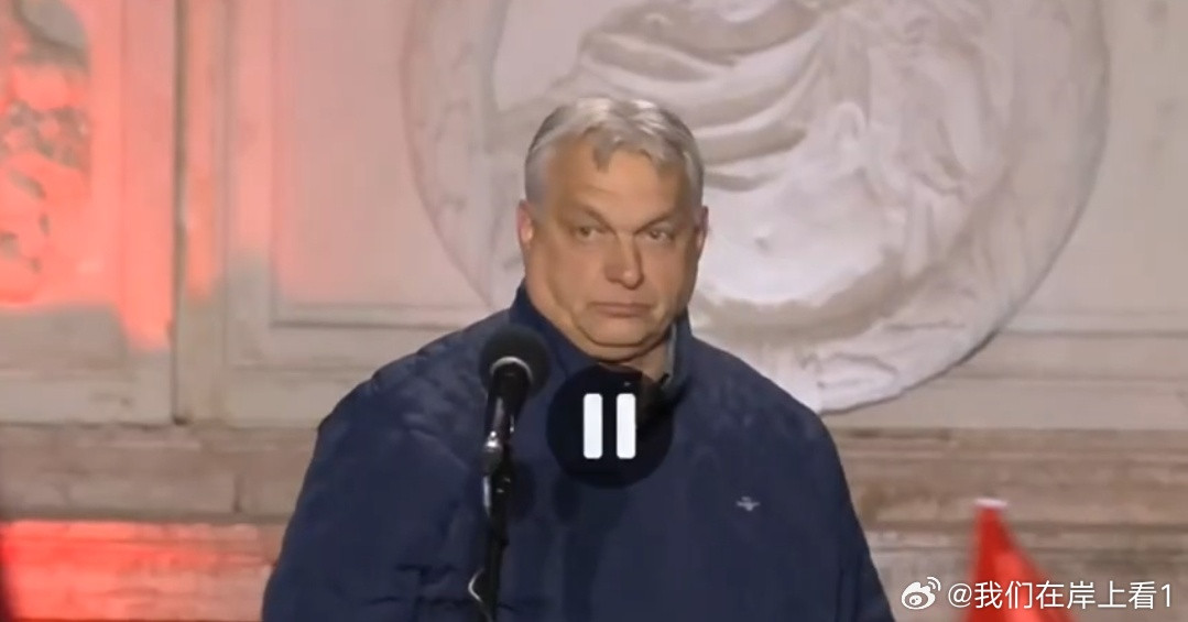 欧尔班在竞选会上人们纷纷高喊支持乌克兰，遭到欧尔班辱骂勃然大怒。你们是匈牙利人，