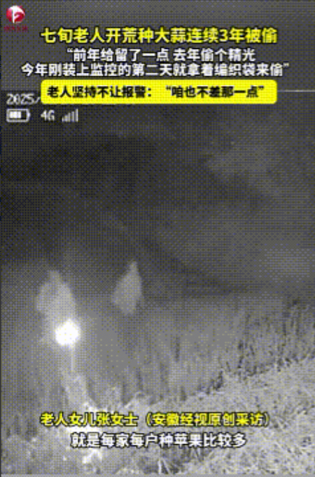 丢人都丢到全村了！5月26日，山东烟台。张大爷开荒种了些大蒜，收蒜时总让人窝火